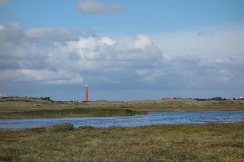 Dünenlandschaft